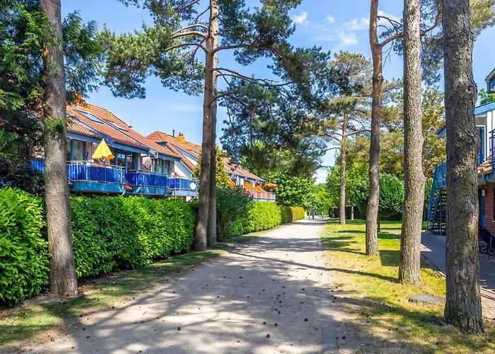 Papillon 8-2 Ankerplatz *